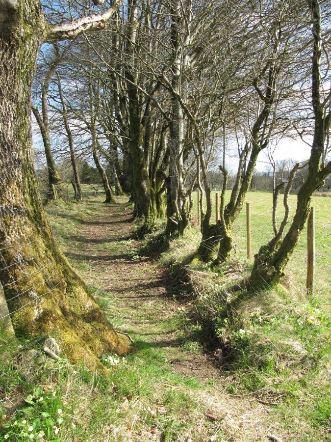 LlanonRhydgaled别墅 外观 照片